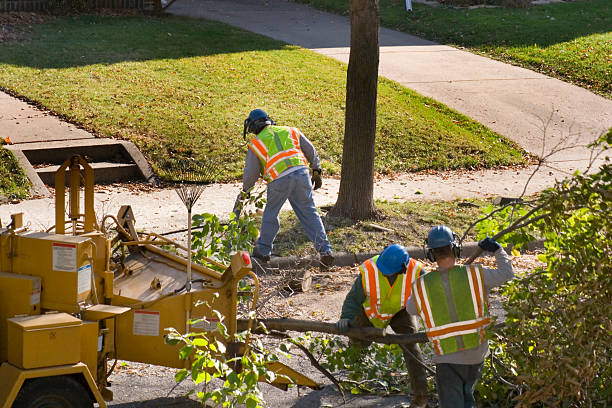Best Lawn Drainage Solutions  in Cavalero, WA